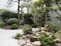 診察室から癒しの日本庭園が一望できます。